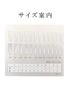 ネイルチップ