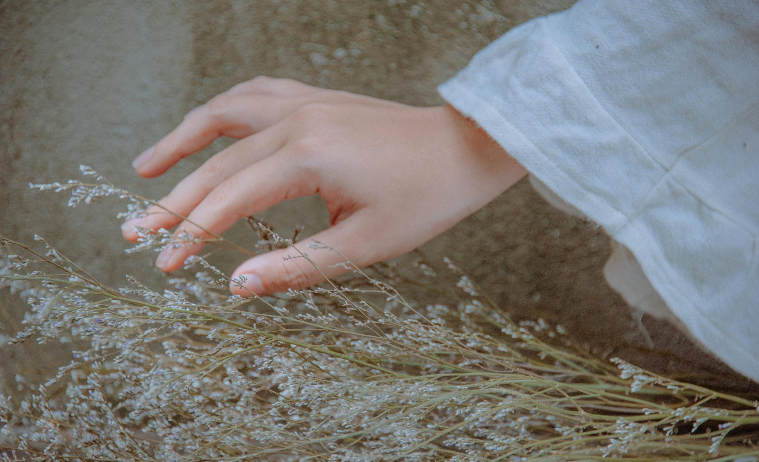 A close-up photo of a hand in a white sleeve gently brushing against delicate grass on a neutral background.